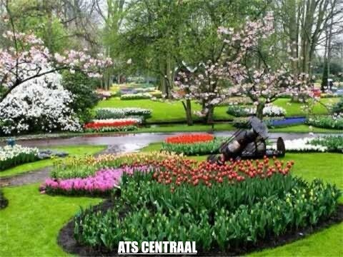 Rotterdam naar Keukenhof