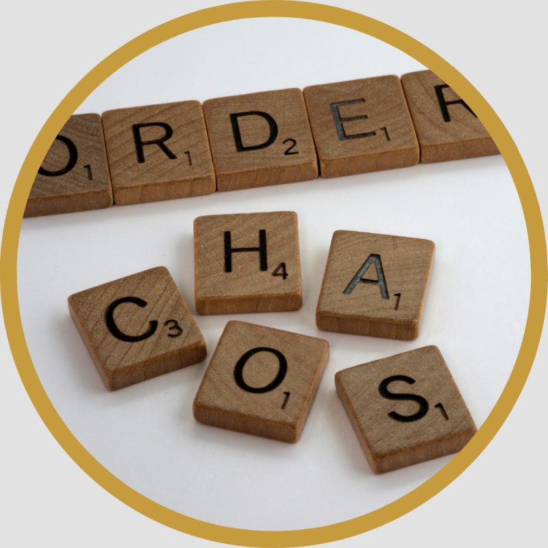 verhuisdozen, stressvrij verhuizen met Erika Stolk Professional Organizer