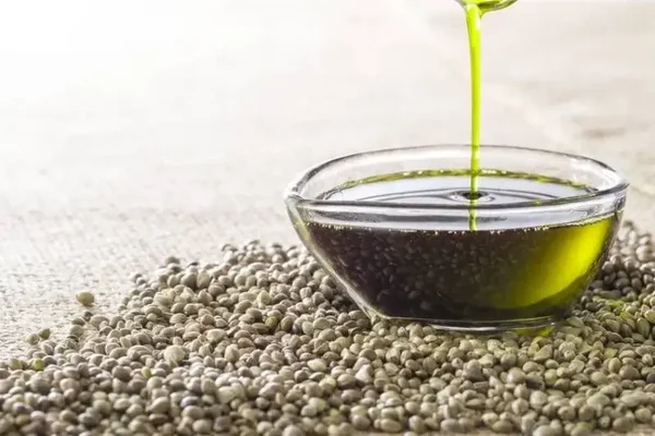 lesliquidesethuilesteamtesteur