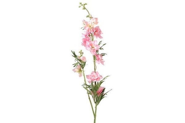 Delphinium Jesika roze
