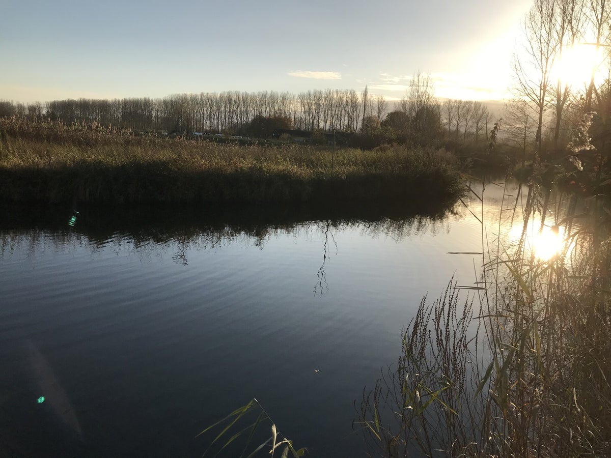 Water en tomeloos verlangen in de Westerse cultuur / Mijmeringen over
