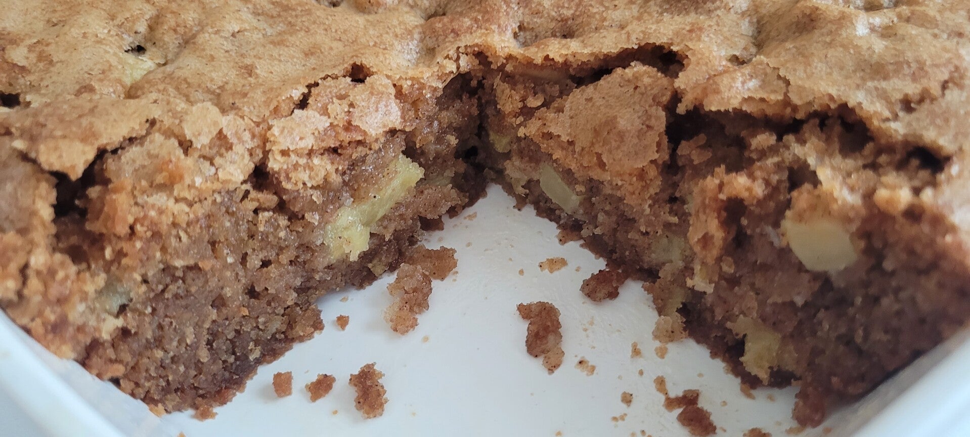 Wickedly Good Apple Cake 9x9