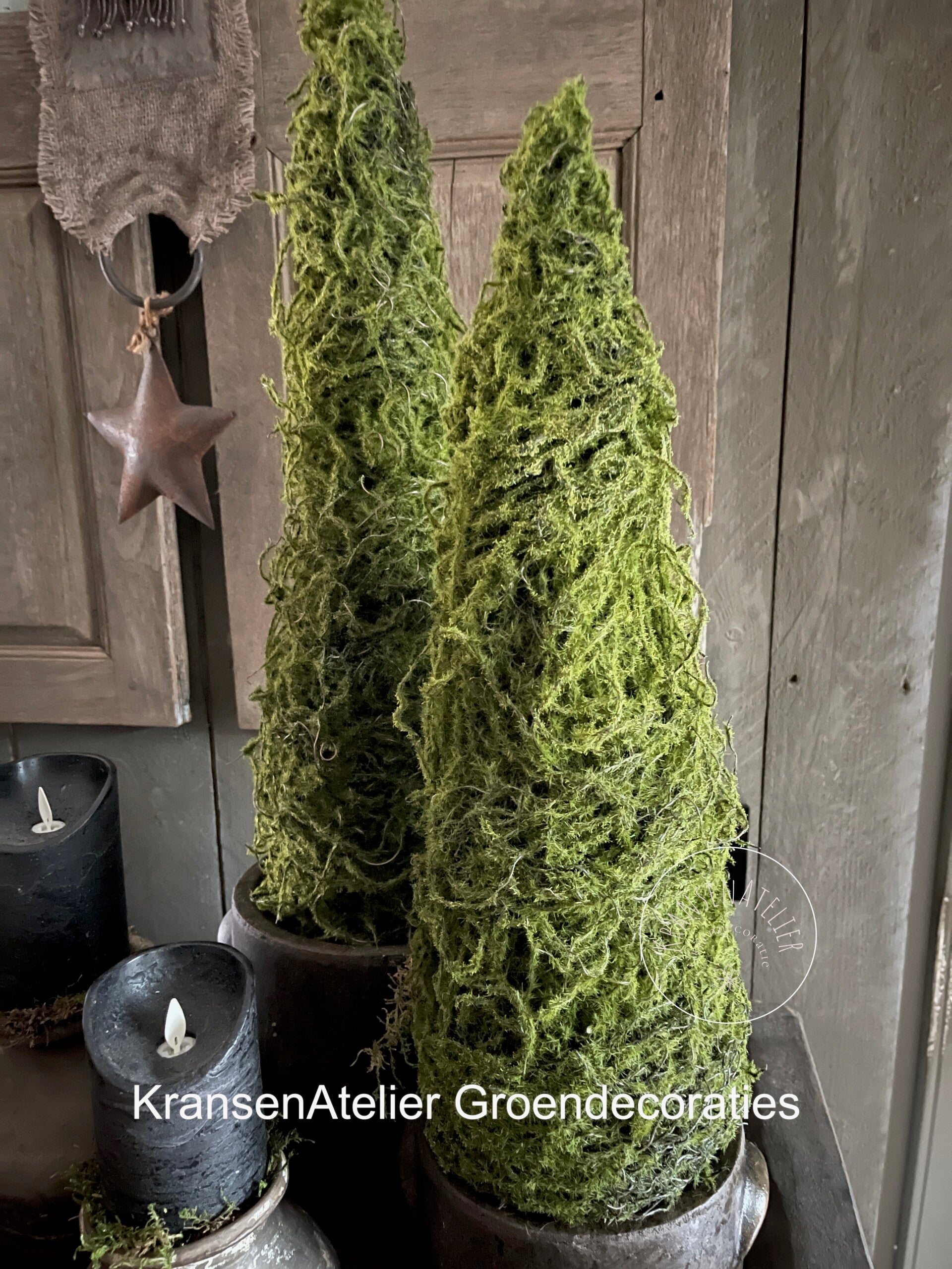 Boompjes kunstmos 45cm en 50cm set van 2