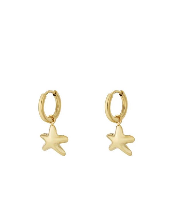 ⭐ Golden Star Oorbellen