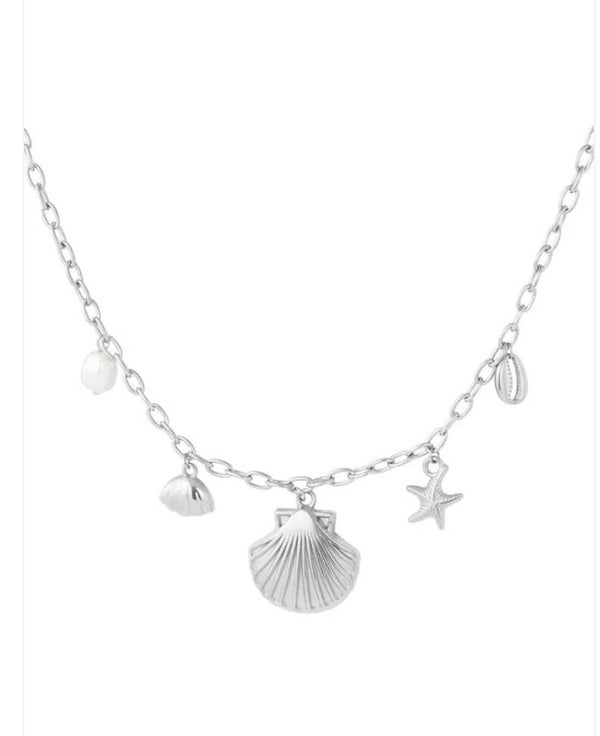 🐚 Seashell Charm Ketting