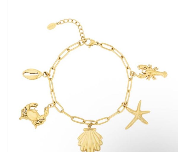 Coastal Charm Armband 🐚✨