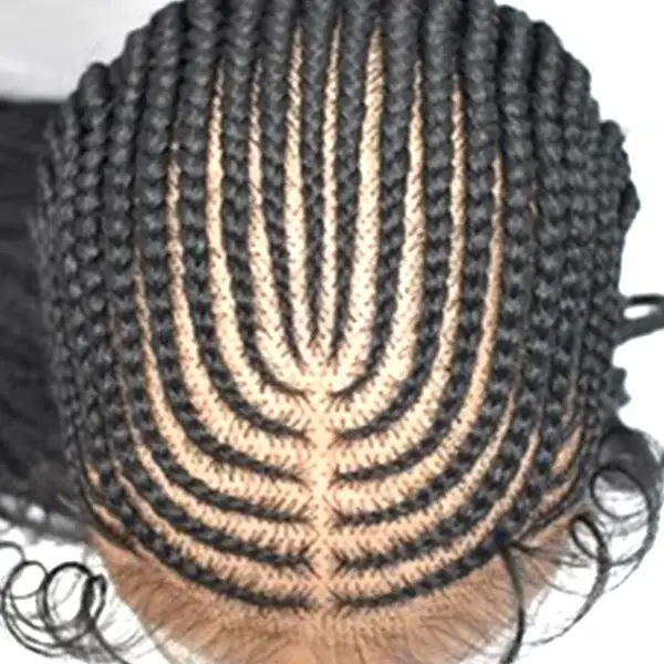 TP Hair Fulani Braided Wig