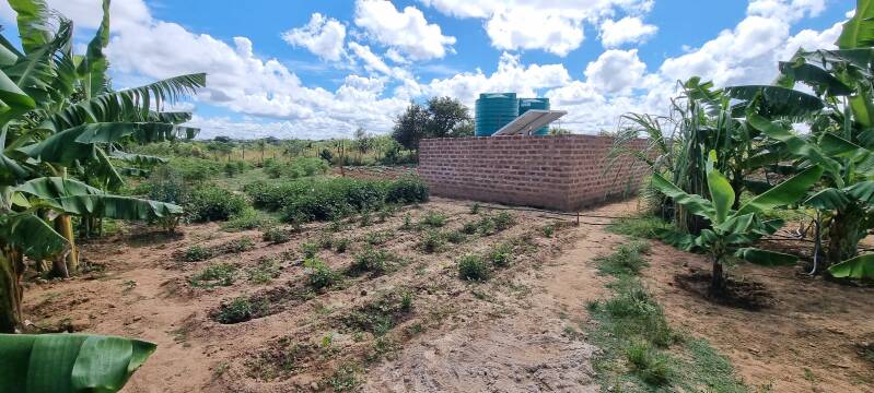 Nahrungsmittel mit solarbetriebenem Trinkwasser