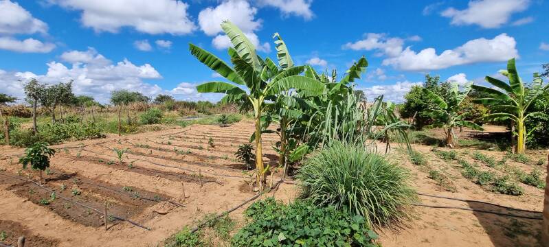 Von der Wasserquelle zur Nahrungsmittelversorgung