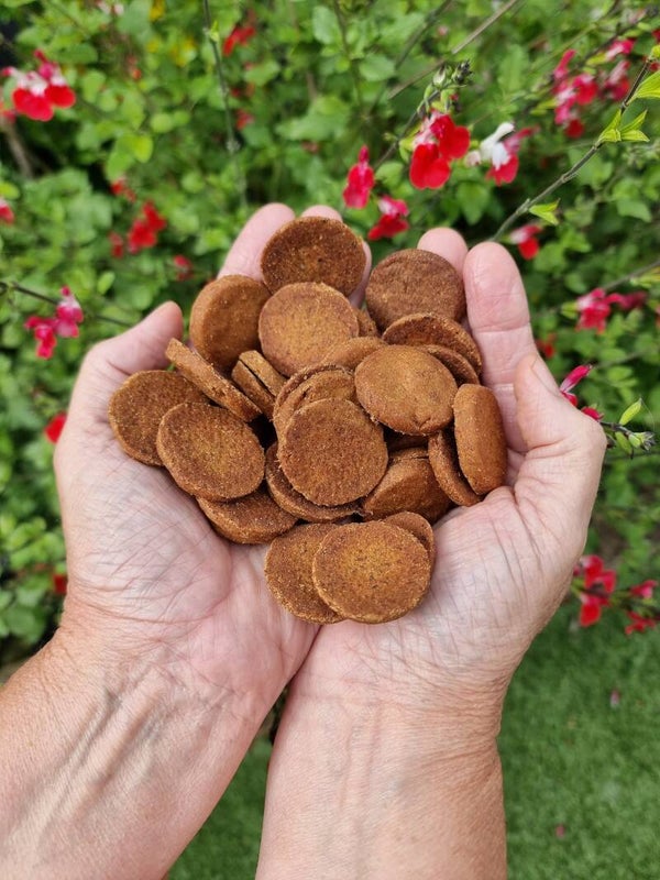 Salmon & Sweet Potato Cookies - 100g