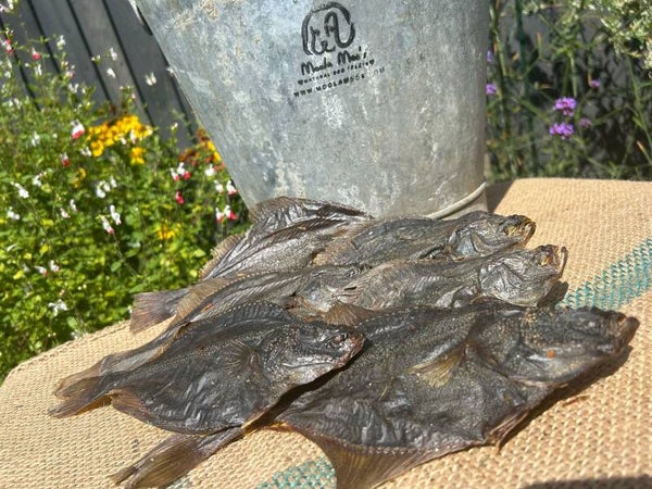 Whole Flounder
