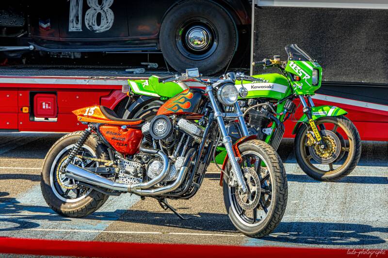 expo-14-standard.jpg