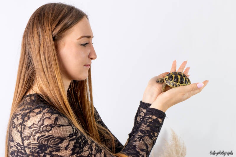 tortue-en-studio-11-standard.jpg