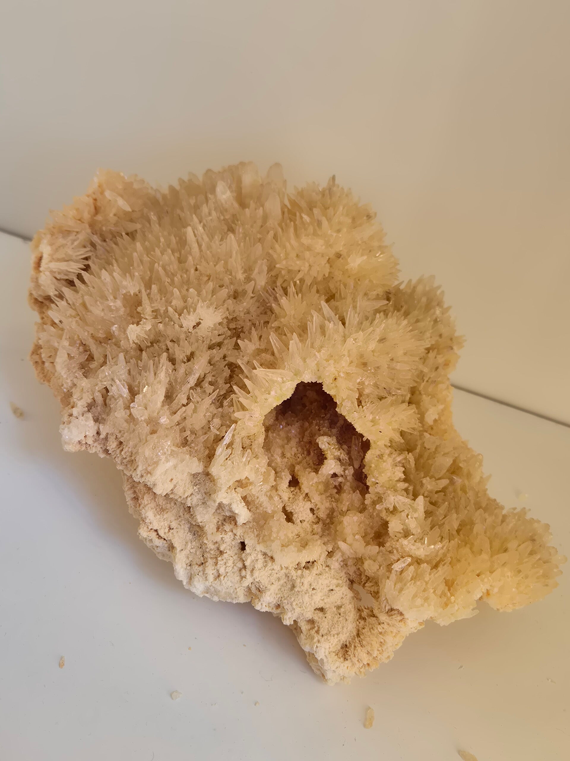 Indisch calciet brok