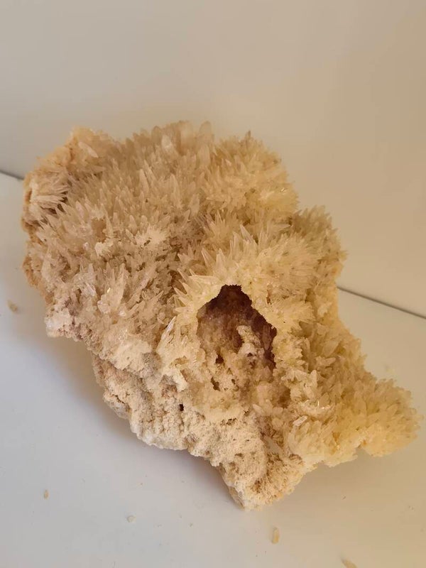 Indisch calciet brok