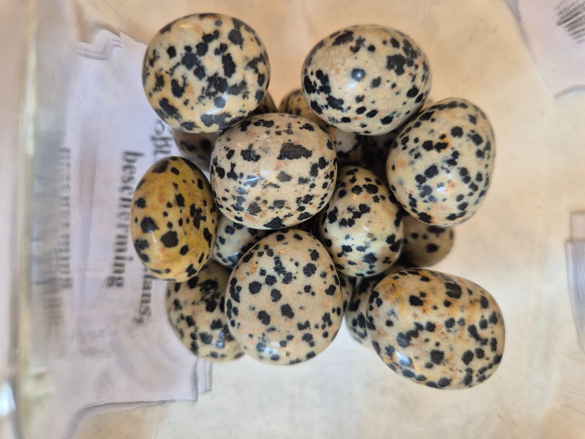 Dalmatier jaspis