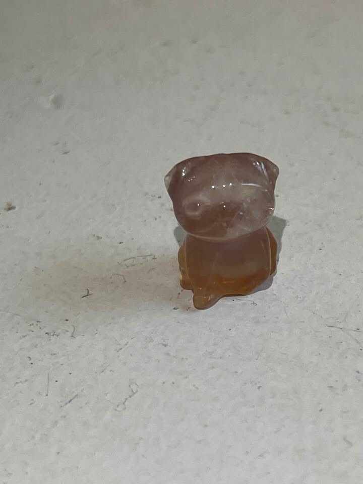 mini fluoriet hondje
