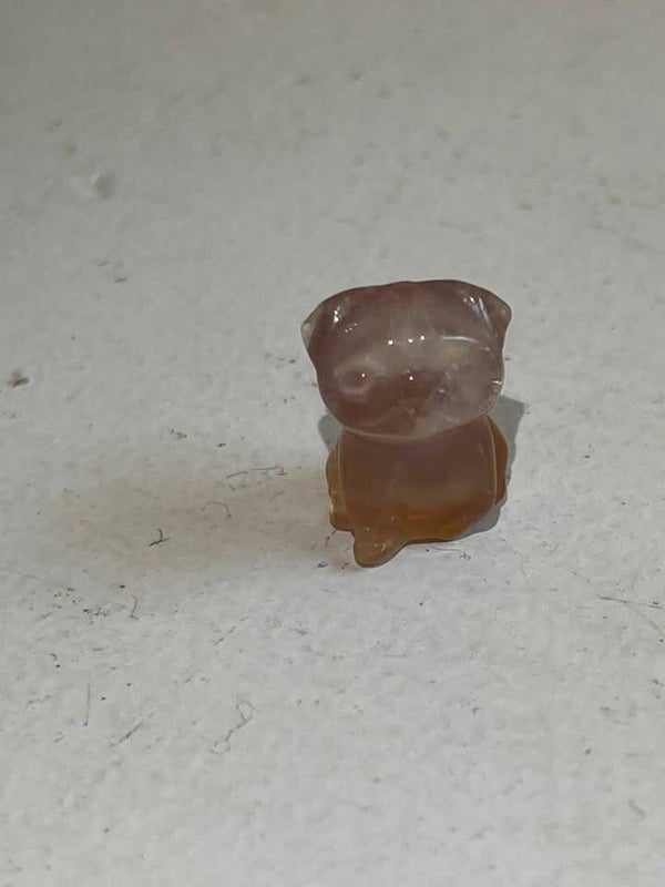 mini fluoriet hondje