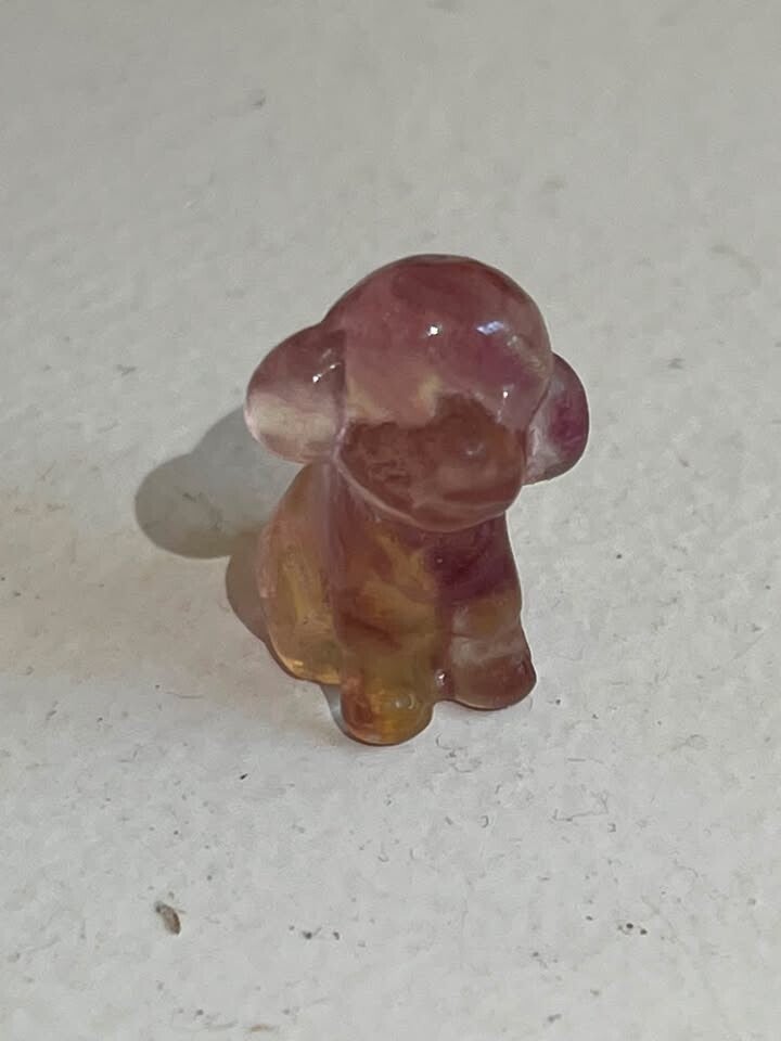mini fluoriet hondje