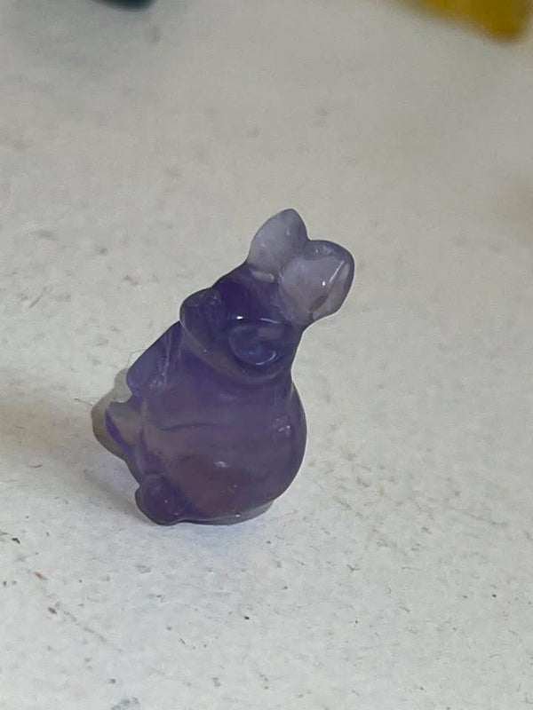 mini fluoriet konijntje