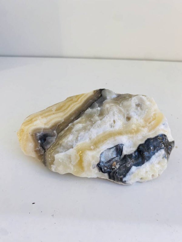 Zebra Calciet brok