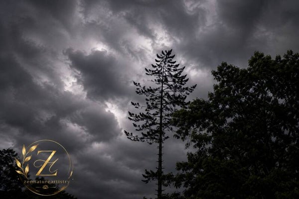 Before The Storm