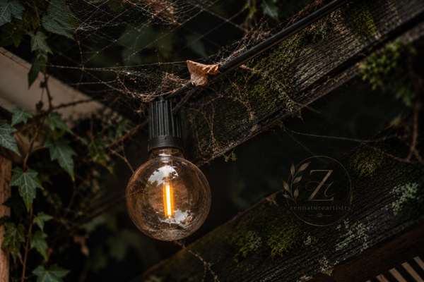 Cobweb