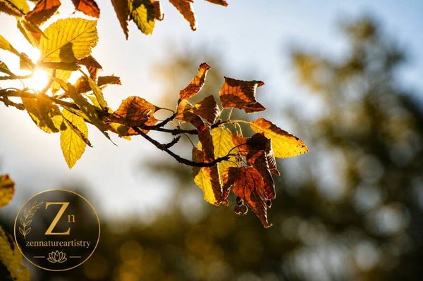 Golden leaves