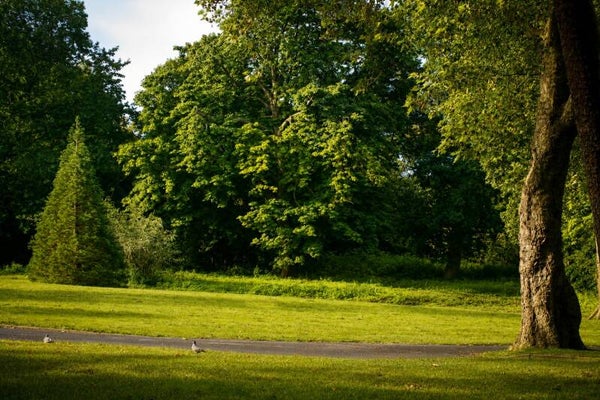 green park
