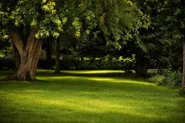 Green Space