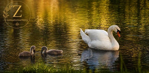 mother and babies