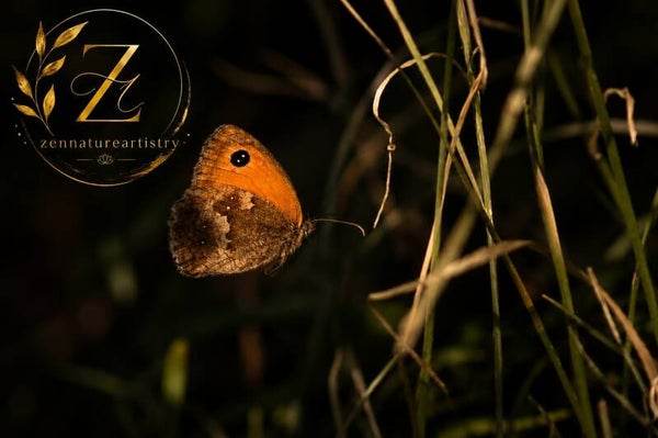 The Amber Gatekeeper
