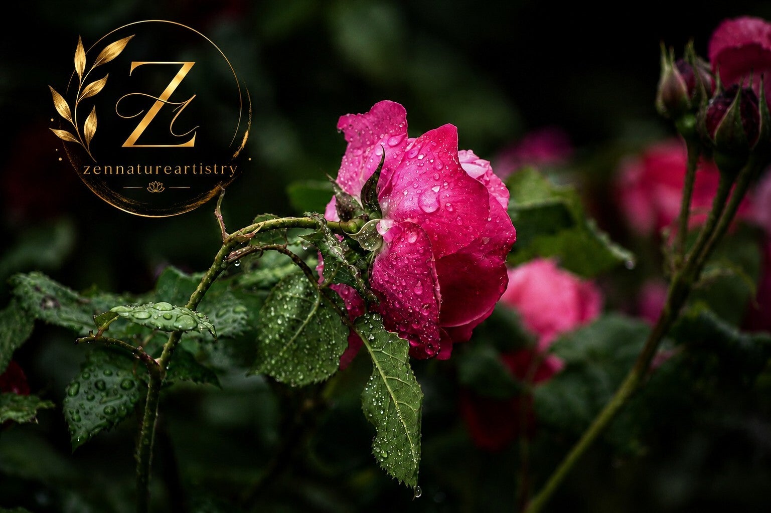 Whispers Of The Rain