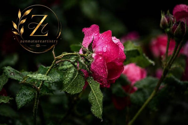 Whispers Of The Rain