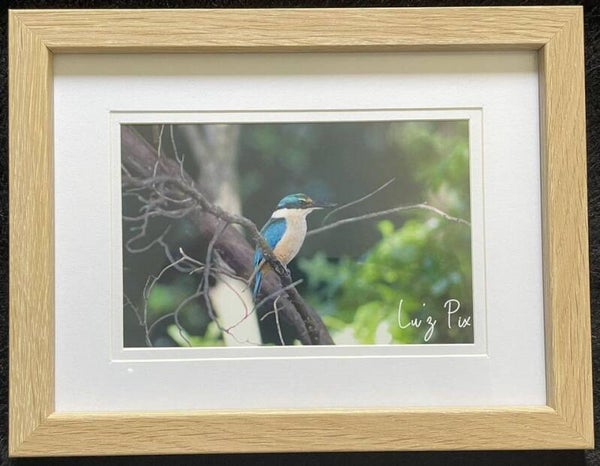 Photographs for Sale