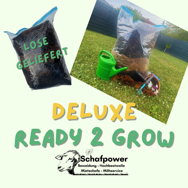 Schafpower Deluxe - Ready-to-Grow
