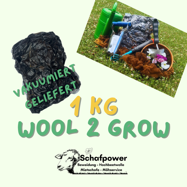 Schafpower Mini - Wool to Grow