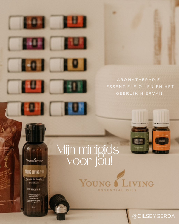 Gratis minigids voor jou