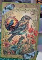 birdy-bd-2-3-standard.jpg