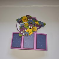 hb-pansy-2-2-standard.jpg