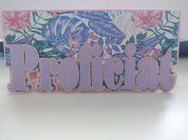 proficiat-pink-standard.jpg