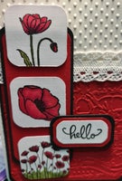 red-poppy-1-2-standard.jpg