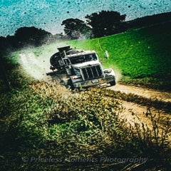 img_1460-standard.jpg