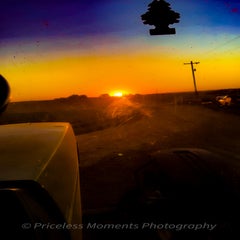 img_1463-standard-v3e13p.jpg