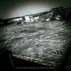 img_1488-standard.jpg