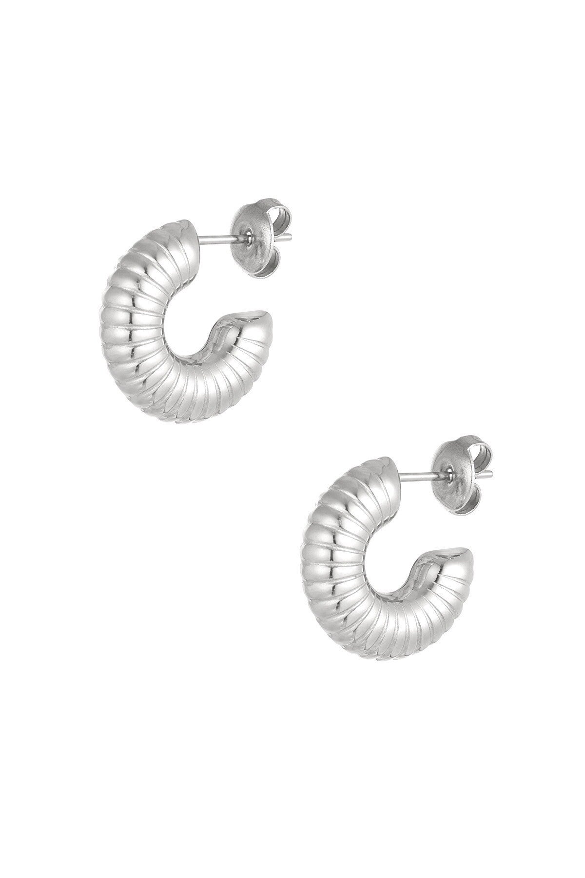 Oorbellen Emily - zilver