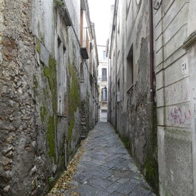 p1160885.jpg