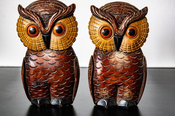 Art Deco set van 2 houten boekensteuntjes "Uil"