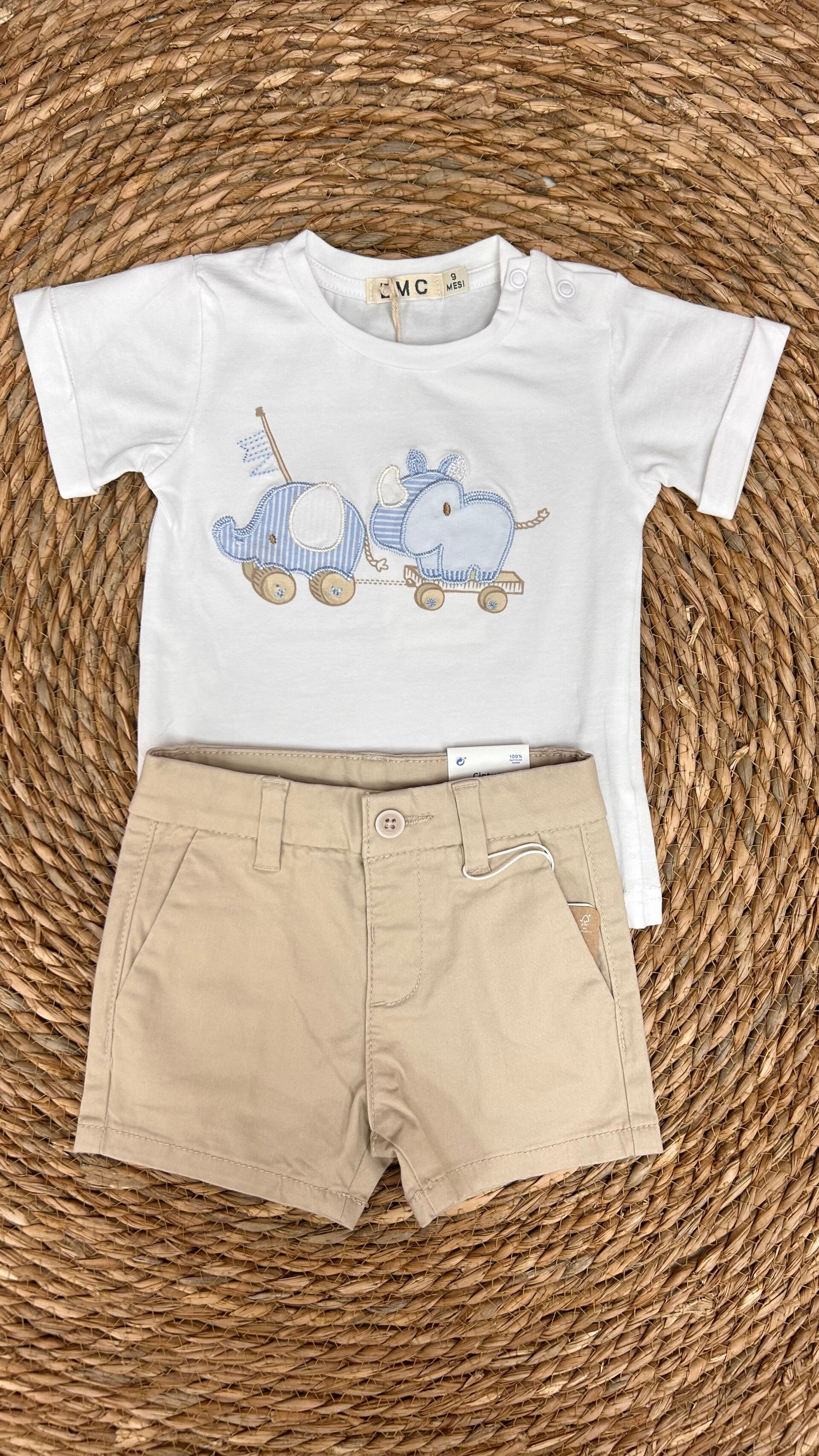 EMC T-shirt babyboy wit / lichtblauw