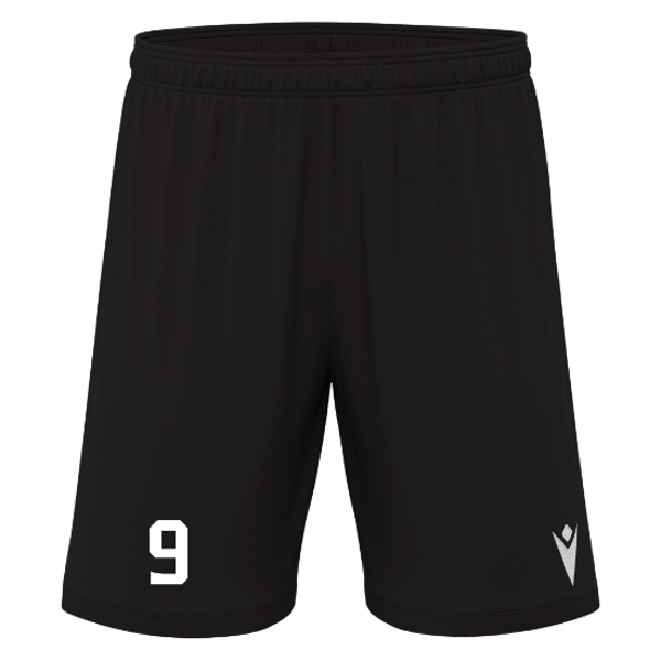 Galax Shorts Lions